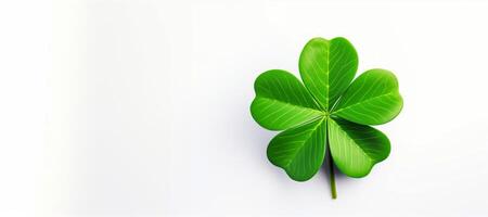 AI generated Irish clover on white background good luck Generative AI photo