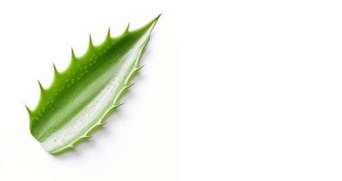 AI generated aloe leaves on white background Generative AI photo