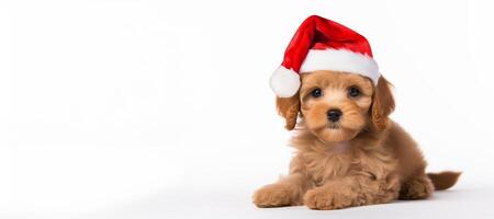 AI generated puppy with santa claus hat on white background Generative AI photo