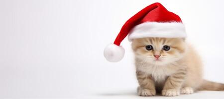 AI generated kitten with Santa Claus hat on white background Generative AI photo
