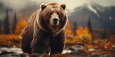 AI generated bear in the autumn forest Generative AI photo