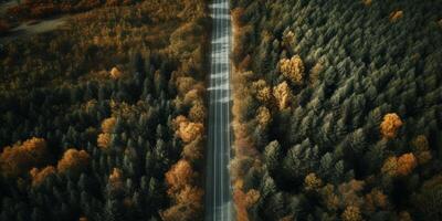 ai generado la carretera en otoño, parte superior ver generativo ai foto