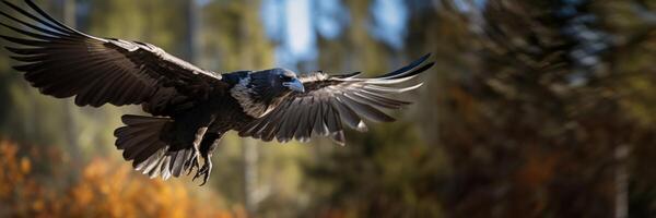 AI generated Raven in flight Generative AI photo