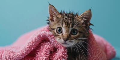 AI generated wet kitten in a pink towel Generative AI photo