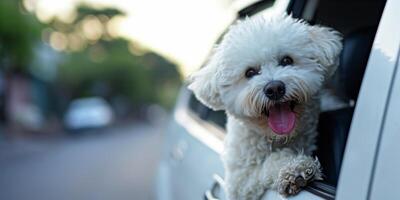 AI generated dog sticking out of the window of a moving car Generative AI photo