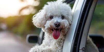 AI generated dog sticking out of the window of a moving car Generative AI photo