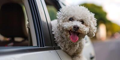 AI generated dog sticking out of the window of a moving car Generative AI photo