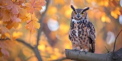 ai generado búho en un rama en otoño antecedentes generativo ai foto