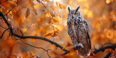 AI generated Owl on a branch in autumn background Generative AI photo
