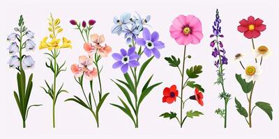 resumen botánico florales antecedentes modelo foto