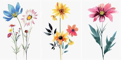 Abstract Botanical Florals background pattern photo