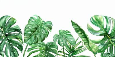 Abstract Botanical Florals background pattern photo