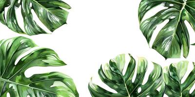 Abstract Botanical Florals background pattern photo