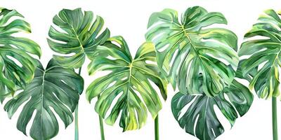 Abstract Botanical Florals background pattern photo