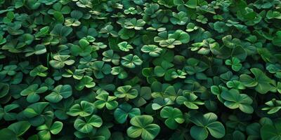 clover pattern texture Saint Patrick photo