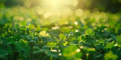 clover pattern texture Saint Patrick photo