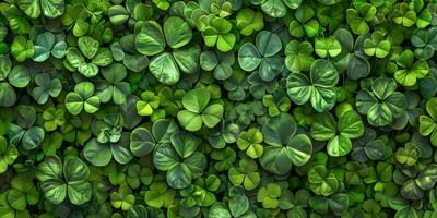 clover pattern texture Saint Patrick photo