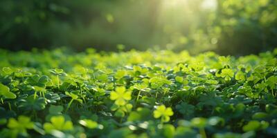 clover pattern texture Saint Patrick photo