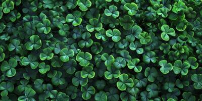 clover pattern texture Saint Patrick photo