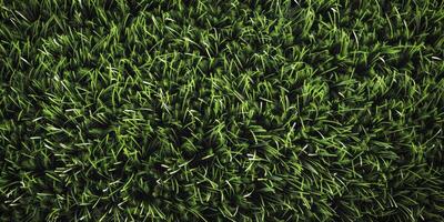 clover pattern texture Saint Patrick photo
