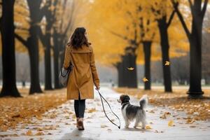 woman walking with dog in the park photo