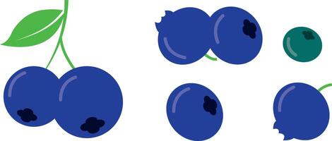 Blueberry logo. Isolated blueberry on white background vector