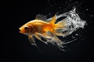 Goldfish splashing in the water photo