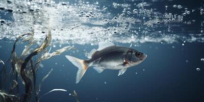 fish jumping out of the water splashing photo