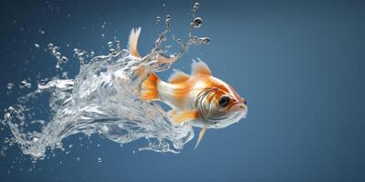 Goldfish splashing in the water photo