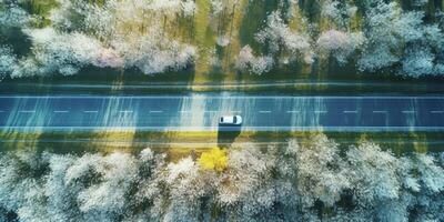 spring blossoms along the road view from above photo