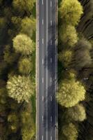 spring blossoms along the road view from above photo