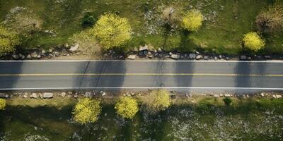 spring blossoms along the road view from above photo