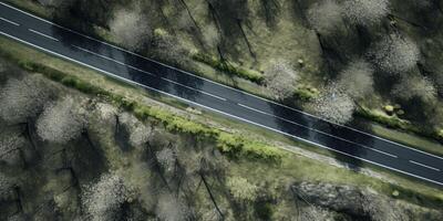 spring blossoms along the road view from above photo