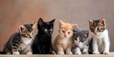 group of kittens of different colors on a light background photo