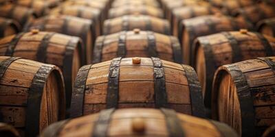 barrels of fortified drinks in the basement photo
