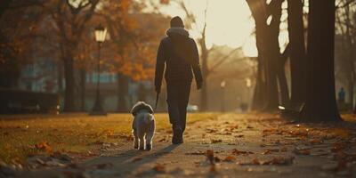 man walking his dog in the park photo