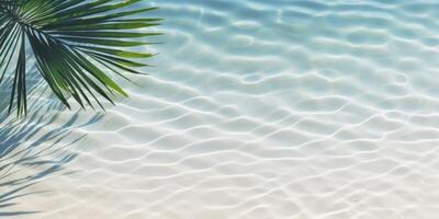 palm leaves on the water top view tropics photo