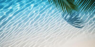 palm leaves on the water top view tropics photo