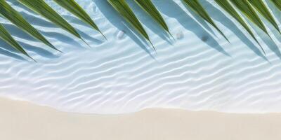 palm leaves on the water top view tropics photo