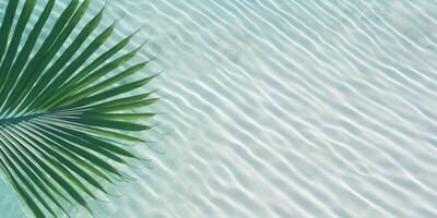 palm leaves on the water top view tropics photo