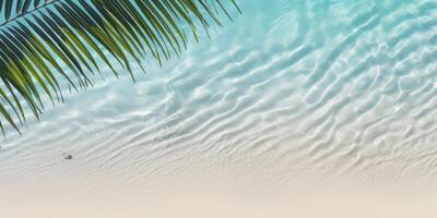 palm leaves on the water top view tropics photo