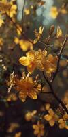 spring blossoming tree and flowers photo