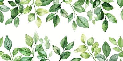 Botanical Florals background photo