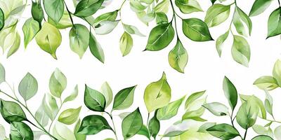 Botanical Florals background photo