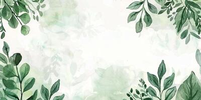 Botanical Florals background photo