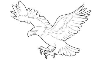 Bald Eagle Colouring Page element, isolated on white vector