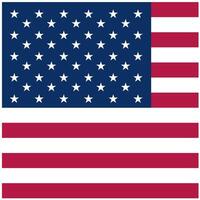 Square shaped US flag isolated on white background, Flag of the USA vector