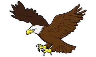 Cartoon style Bald Eagle isolated on a white or transparent background vector