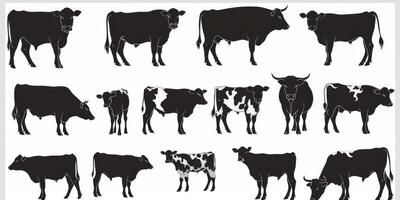 cow on white background photo