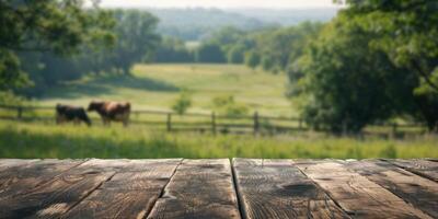 wooden table against the background of cows in the pasture photo